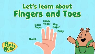 Finger Names in English | Fingers and Toes | Educational Video