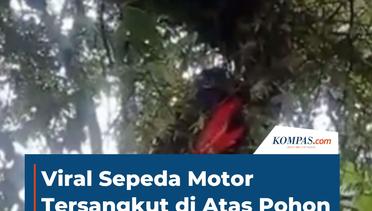 Viral Sepeda Motor Tersangkut di Atas Pohon di Mojokerto, Kok Bisa?