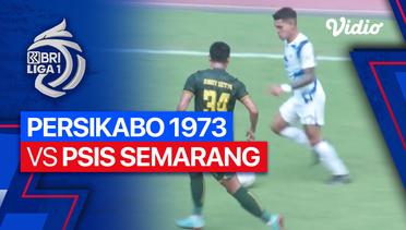 PERSIKABO 1973 vs PSIS Semarang - Mini Match | BRI Liga 1 2023/24