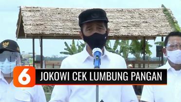 Tepat di Puncak Demo UU Cipta Kerja, Jokowi Tinjau Lumbung Pangan Baru di Pulang Pisau, Kalteng