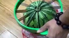 alat yg unik untuk membelah semangka