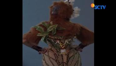 Kostum Nuansa Orangutan Miss Universe Indonesia - Liputan6 Siang