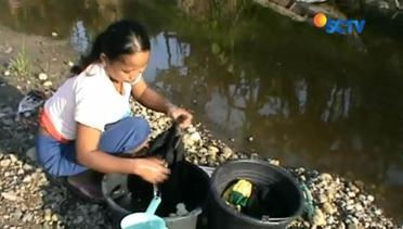Krisis Air Bersih, Warga Karawang Gunakan Air Sungai Bercampur Kotoran Sapi - Liputan6 Petang
