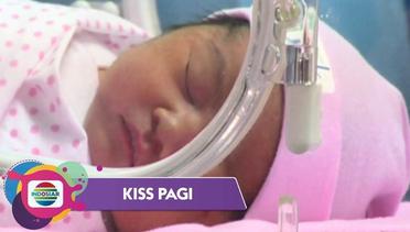 Kesiapan Bobby Nasution Menjadi Ayah Bagi Sedah Mirah Nasution - Kiss Pagi