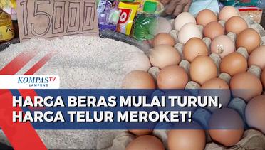 Harga Beras Di Lampung Mulai Turun, Telur Masih Meroket!