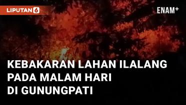 Viral Kebakaran Lahan Ilalang Pada Malam Hari di Sekaran Gunungpati