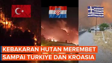 Suhu Panas Ekstrem, Kroasia dan Turkiye Juga Dilanda Kebakaran Hutan