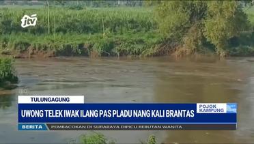 Uwong Telek Iwak Ilang Pas Pladu Nang Kali Brantas - POJOK KAMPUNG