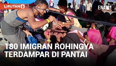 Imigran Rohingya Rebutan Makanan di Tenda Pengungsian