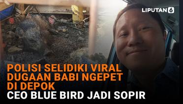 NEWS Terpopuler: Polisi Selidiki Viral Dugaan Babi Ngepet di Depok, CEO BlueBird Jadi Sopir