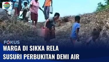 Masih Dilanda Kekeringan, Warga di Sikka Terpaksa Menyusuri Bukit Demi Dapatkan Air | Fokus