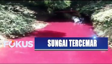 Sungai di Jepara Berubah Warna Jadi Pink, Apa yang Terjadi? - Fokus