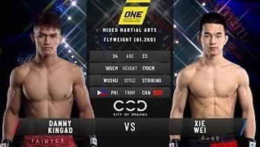 Danny Kingad vs Xie Wei | Full Fight Replay