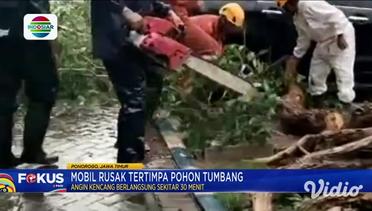 Mobil Rusak Tertimpa Pohon Tumbang di Ponorogo