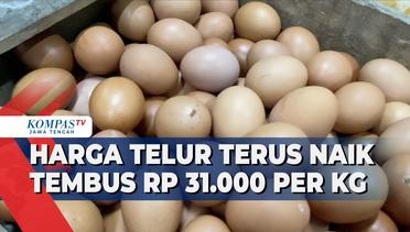 Harga Telur Terus Naik Tembus Rp 31.000 Per Kilogram