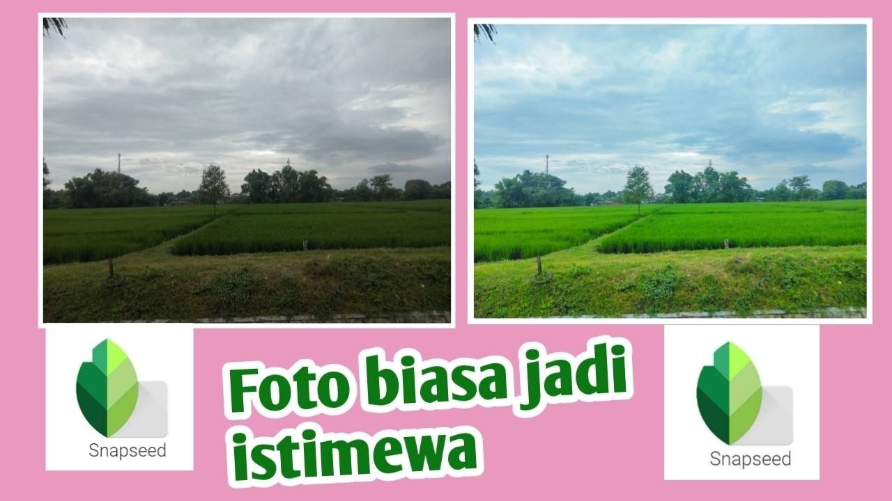 Mudah Edit Foto di HP Foto Biasa jadi ISTIMEWA dengan SNAPSEED,Tutorial