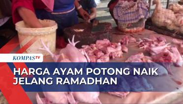 Harga Ayam Naik Jelang Ramadan, Pedangan Keluhkan Angka Penjualan Menurun