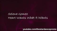 Selena Gomez - The Heart Wants What it Wants (Lyrics)