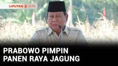 Presiden Prabowo Pimpin Panen Raya Jagung Serentak di Bengkayang Kalbar | Liputan 6