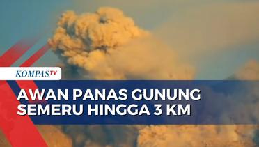 Gunung Semeru Luncurkan Awan Panas hingga 3 Kilometer ke Aliran Sungai Besuk Kobokan