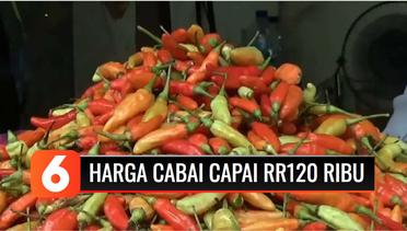 Harga Cabai Rawit di Jombang Mencapai Rp120 Ribu per Kg | Liputan 6