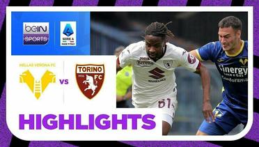 Verona vs Torino- Highlights | Serie A 2023/24