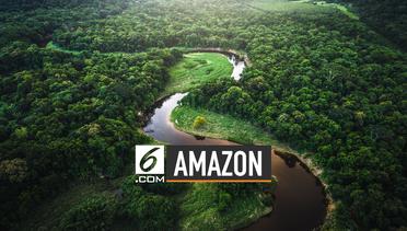 Ilmuwan Sebut Amazon Bukan Paru-Paru Dunia