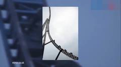 Woww!! Teknisi Antar Kue Tart ke Puncak Lintasan Roller Coaster