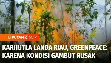 Karhutla Landa Provinsi Riau, Greenpeace: Terjadi Karena Kondisi Gambut Rusak | Liputan 6