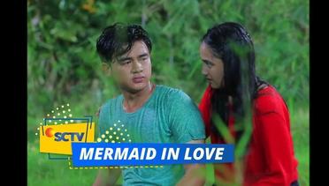 Highlight Mermaid In Love - Episode 13