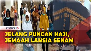Jelang Puncak Haji, Jemaah Indonesia Senam Kebugaran Guna Jaga Kesehatan