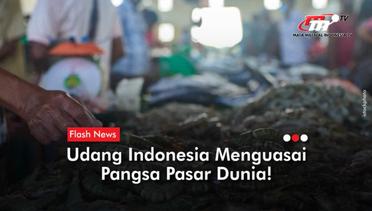 Budi Daya Udang,Primadona Ekspor Indonesia | Flash News