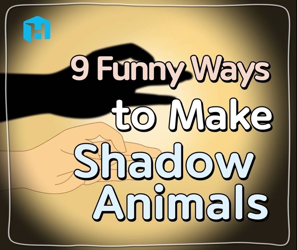 Life Hacks] How to Make Shadow Animals with Your Hands | Vidio