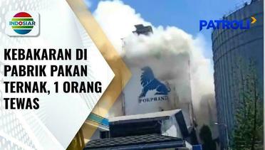 Kebakaran Pabrik Pakan Ternak di Makassar, Satu Orang Tewas dan Belasan Lainnya Terluka | Patroli