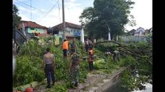 Melihat Kompaknya Kodim 0716/Demak Bersama Polres Serta BPBD Bersihkan Pohon Tumbang