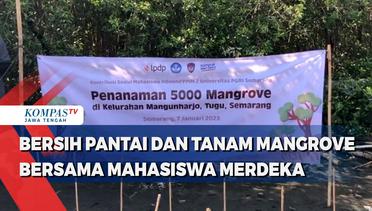 Bersih Pantai dan Tanam Mangrove Bersama Mahasiswa Merdeka
