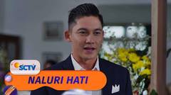 Pengumuman! Hari Bahagia Zain dan Nayla Tiba | Naluri Hati Episode 35