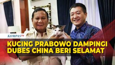 Dubes China Ucapkan Selamat ke Prabowo Unggul Quick Count, Didampingi Kucing Bobby Kertanegara