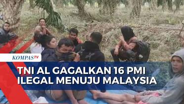 Hendak ke Malaysia, 16 Pekerja Migran Indonesia Ilegal Ditangkap TNI AL Lanal Dumai