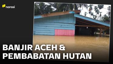 Aceh Diterjang Banjir, Pembabatan Hutan Diduga Penyebabnya