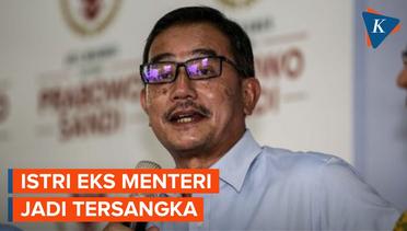 Istri Eks Menteri BPN Ferry M Baldan Jadi Tersangka Dugaan Penggelapan Saham
