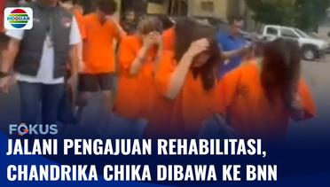 Selebgram Chandrika Chika Dibawa ke BNN, Jalani Asesmen Pengajuan Rehabilitasi | Fokus