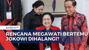 Peluang Pertemuan Jokowi-Megawati: Bahlil Sebut Jangan Buru-Buru, Hasto Bantah Tudingan Menghalangi