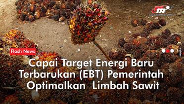 Capai Target EBT, Pemerintah Optimalkan Sumber Energi dari Tenaga Biogas | Flash News