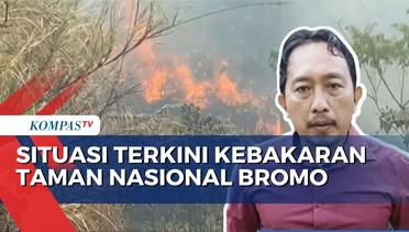 Update Kebakaran Taman Nasional Bromo Tengger Semeru: Api Masih Sulit Dipadamkan
