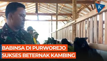 Babinsa ini Sukses Beternak Kambing di Purworejo