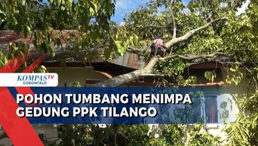Pohon Tumbang Menimpa Gedung Sekretariat PPK Tilango