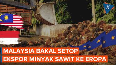 Ini Alasan Malaysia Ancam Setop Minyak Sawit ke Uni Eropa!