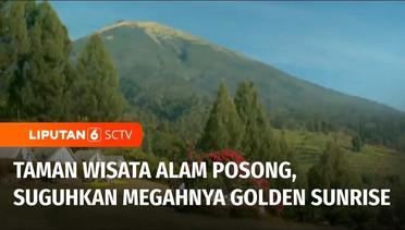 Wisata di Lereng Gunung Sindoro, Nikmati Golden Sunrise di Taman Wisata Alam Posong | Liputan 6