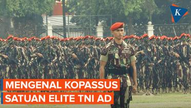 Kopassus, Satuan Tidak Terlepas dari Rangkaian Bersejarah Indonesia